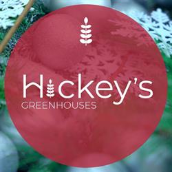 Anna's Arrangements-Hickey's Greenhouses, Conception Bay South, NL opening hours