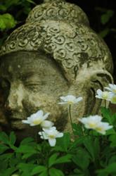Mission Yoga and Pilates, opening hours