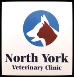 North York Veterinary Clinic, Toronto, ON opening hours