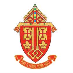 Roman Catholic Diocese, Peterborough, ON opening hours