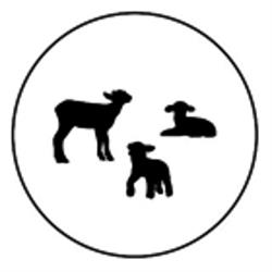 Three Lambs Baby Boutique, Tecumseh, ON opening hours
