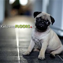 Floors - Your Kelowna Flooring Store, opening hours