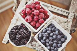 Arjuna Berry Farms Ltd, Abbotsford, BC opening hours