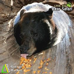 Little Big Bear Safari Ltd., Acadieville, NB opening hours