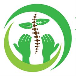 Belmont Osteopathy Clinic, Kitchener, ON opening hours