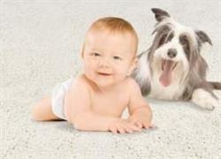 Bennett Carpet Cleaning, Whitby, ON opening hours