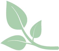 Fraser Pregnancy Options CentreSouth, Surrey, BC opening hours