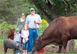 De Wetering Hill Farms, Stratford, ON opening hours