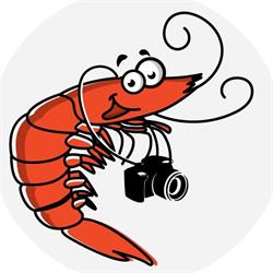 Laughing Lobster Photography, Antigonish, NS opening hours