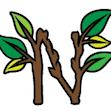 Today 'N' Tomorrow Learning Society, Courtenay, BC opening hours