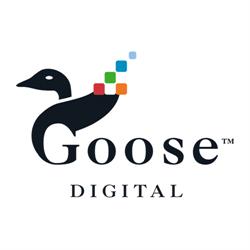 Goose Digital, Toronto, ON opening hours