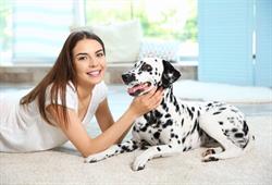 Carpet Cleaning Services of Aurora, opening hours