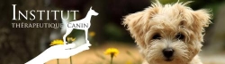 Institut Thérapeutique Canin, Saint-Hubert, QC opening hours