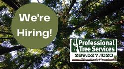Professional Tree Services in Hamilton, ON (Ontario) - Opening Hours