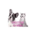 Toilettage St-Henri, Mascouche, QC opening hours