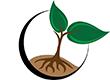 Norfolk Roots Midwives, Simcoe, ON opening hours