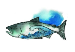 OTB Charters in Garden Bay, BC (Sunshine Coast) - Opening Hours
