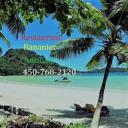 Bananier Antillais, Saint-Hyacinthe, QC opening hours