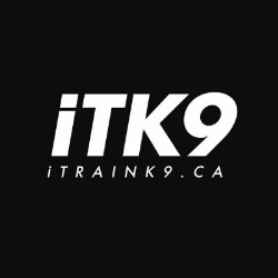 iTrainK9 Dog Training, Campbellville, ON opening hours