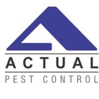 Actual Pest Control in Toronto, ON (Ontario) - Opening Hours