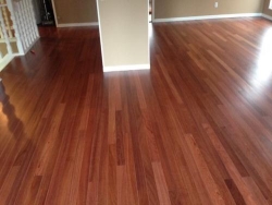 1 DAY HARDWOOD FLOOR REFINISHING, Vancouver, BC opening hours