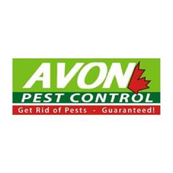 Avon Pest Control WHITE ROCK, Vancouver, BC opening hours