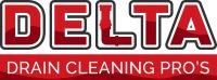 Delta Drain Cleaning Pros, opening hours