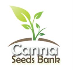 Canna Seeds Bank, Dorval, QC opening hours