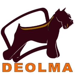 Web Design & Development DEOLMA, Hamilton, ON opening hours