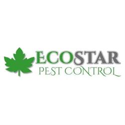Ecostar Pest Control, Calgary, AB opening hours