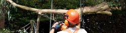 Everest Tree Care Ontario Inc., Stouffville, ON opening hours