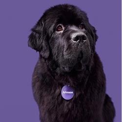 Johnson Insurance, Waterloo, ON opening hours