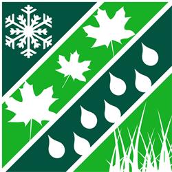 White 'N Green Inc, Edmonton, AB opening hours