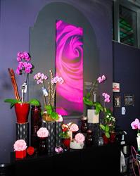Lavender and Lilacs Florist Vancouver, opening hours