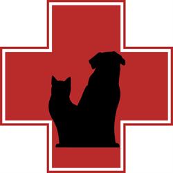 Snowden Animal Hospital, Surrey, BC opening hours