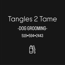 Tangles 2 Tame Dog Grooming, Waterloo, ON opening hours