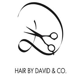 Hair By David & Co., Toronto, ON opening hours