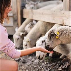 Log Farm Nepean, opening hours