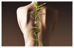 Think Chiropractic and Wellness Centre, Burlington, ON opening hours