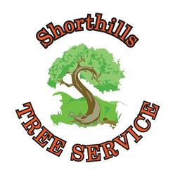 Shorthills Tree Service, Welland, ON opening hours