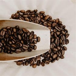 Human Bean Coffee & Tea, Winnipeg, MB opening hours