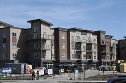 Torode Realty Advisors Inc., Calgary, AB opening hours