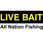 All Nation Fishing Inc, Toronto, ON opening hours
