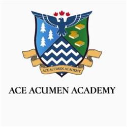 ACE ACUMEN CORP., Toronto, ON opening hours