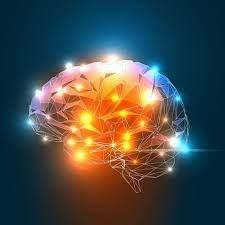 Shift Concussion Management Clinical Practice, Guelph, ON opening hours