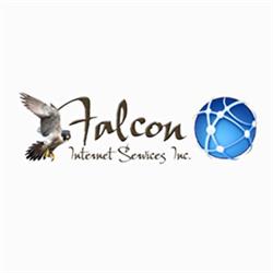 Falcon Internet Svc Inc, London, ON opening hours