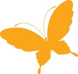 REVIVE NATUROPATHIC HEALTH CLINIC, Surrey, BC opening hours