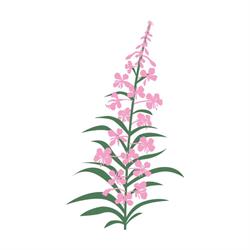 Fireweed Heavy Truck & Equipment Repairs Ltd., Edmonton, AB opening hours