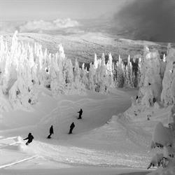Alpine Images Photography, Sun Peaks, BC opening hours