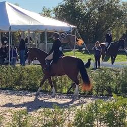 Royaleigh Acres, Erin, ON opening hours